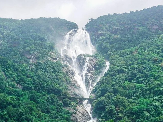 Wide view of Dudhsagar Falls surrounded by lush green forest