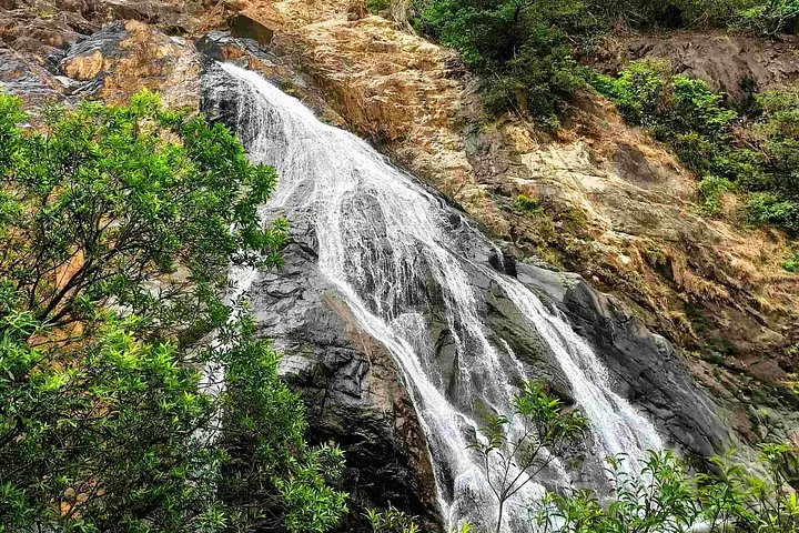 Wasser, das über dunkle Felsen zwischen grüner Vegetation fließt