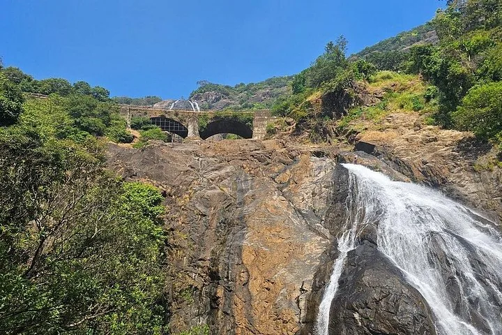 En levant les yeux vers les chutes de Dudhsagar qui dévalent la montagne rocheuse