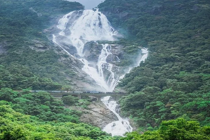 Train passing over the bridge at Dudhsagar Falls