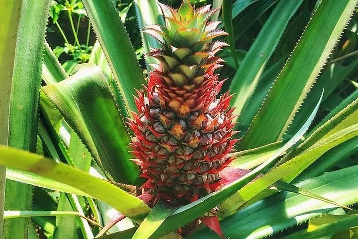 Photo de la visite